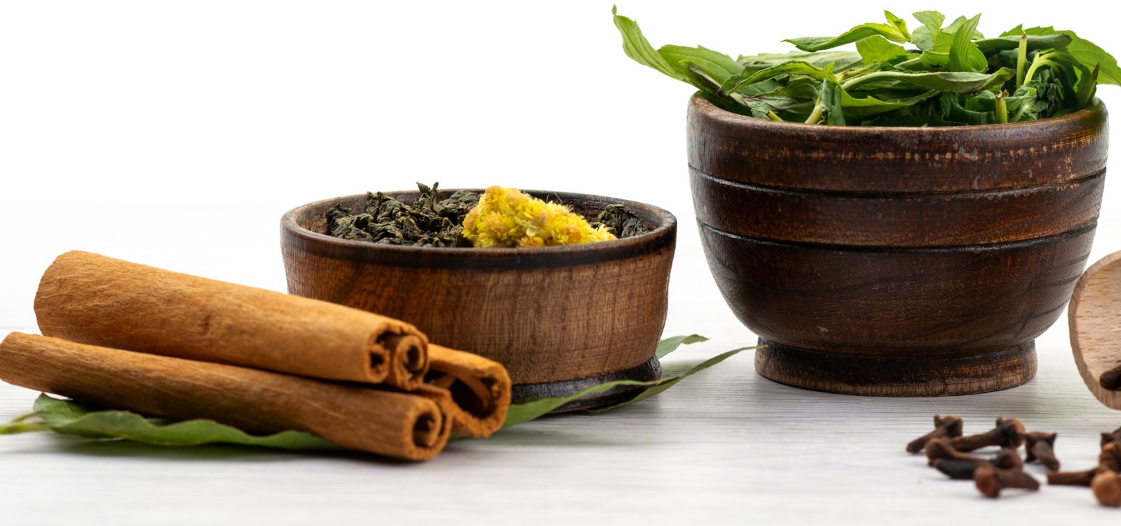 List of Some Popular Herbal Extracts in India Arjuna Natural