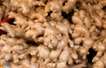 Ginger Extract Manufacturer Ginger Extract Manufacturer