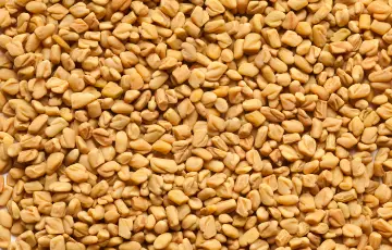Uses & Health Benefits of Fenugreek Seed Extract