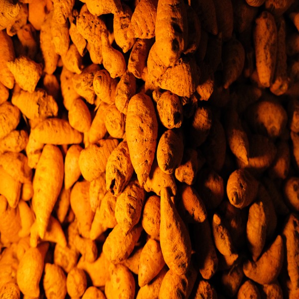 BCM-95®: 100% Natural Holistic Turmeric