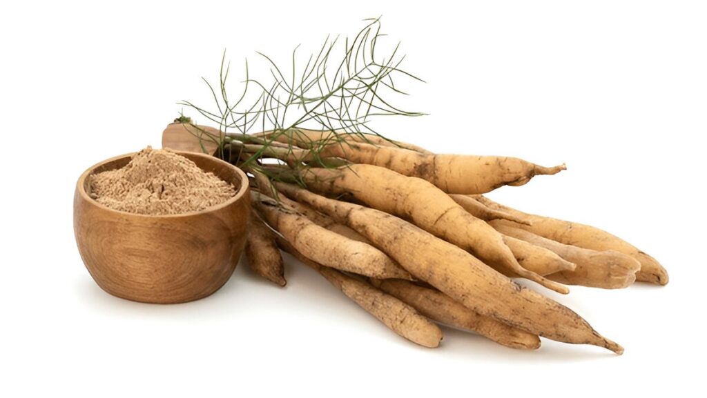 Shatavari: The Ayurvedic Herb for Women’s Health
