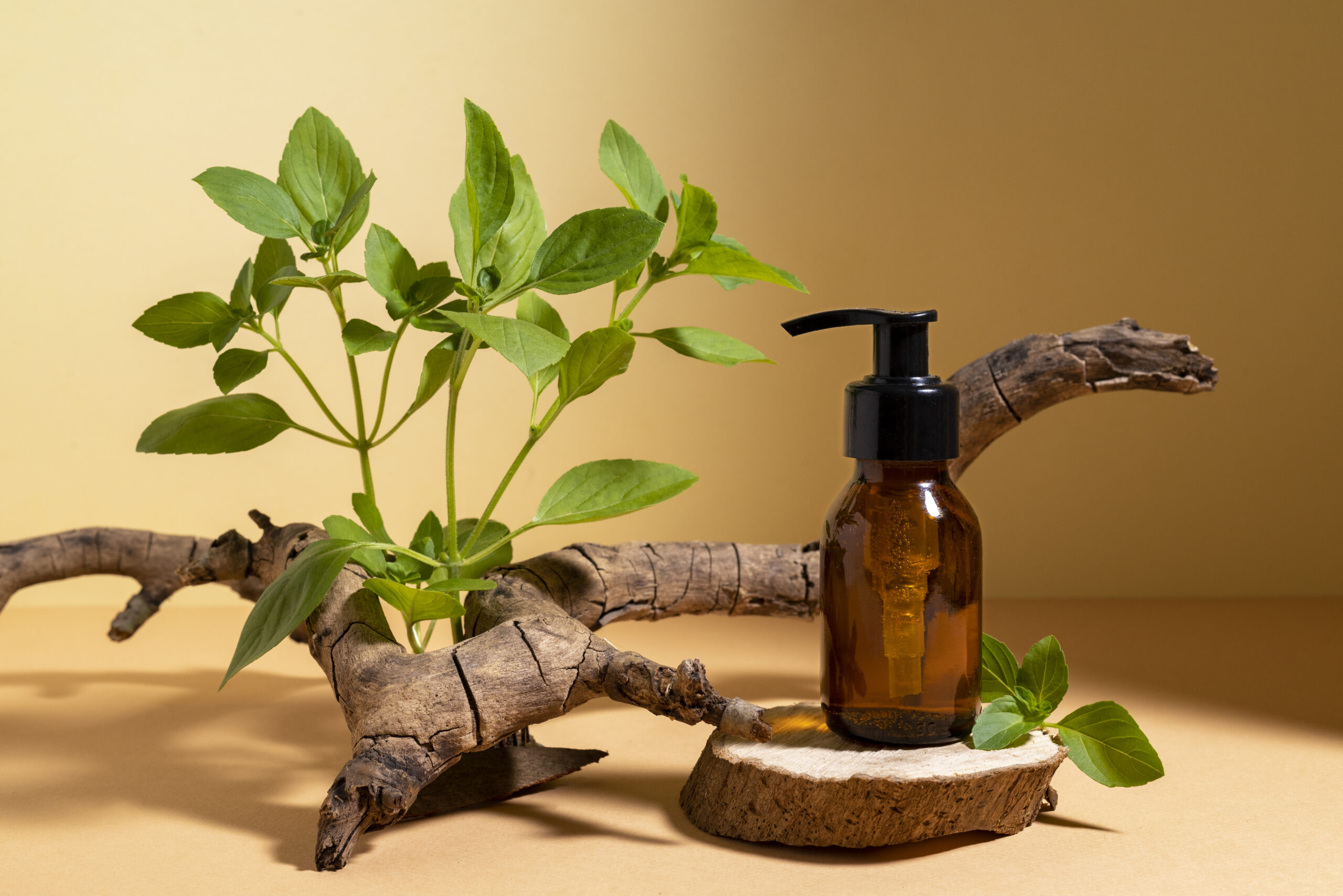How Natural Extracts Improve Nutrient Absorption
