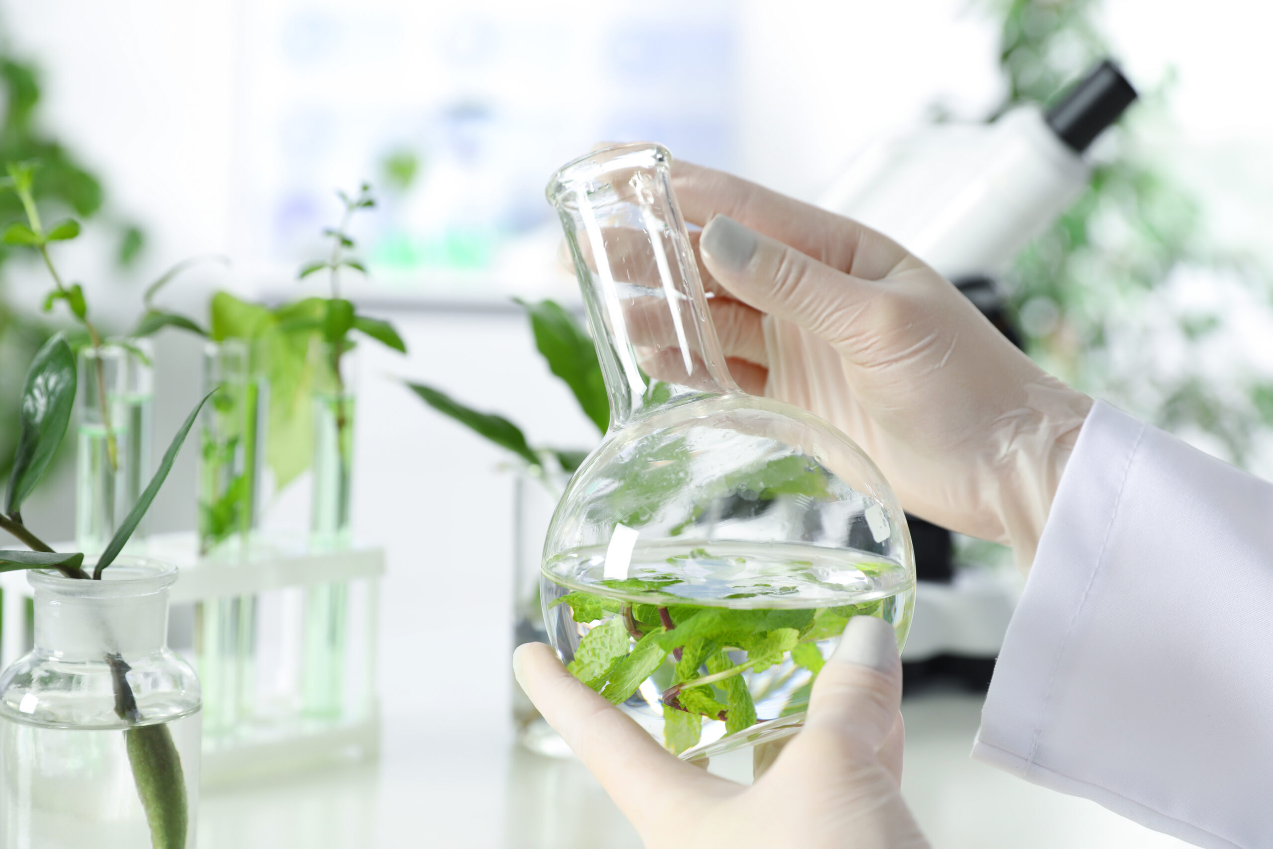 Arjuna Natural: 11 Powerful Herbal Extracts for Relief from Discomfort