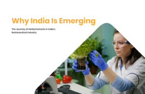 Why India Is Emerging as a Global Hub for Nutraceutical and Botanical Extract Manufacturing 