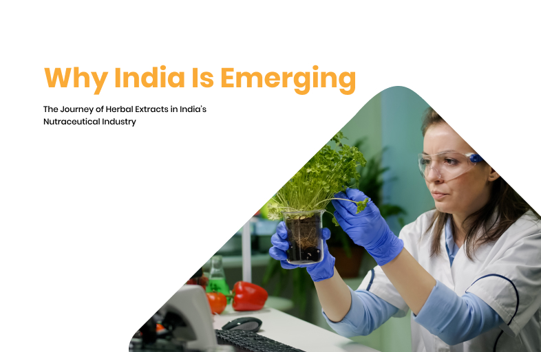 Why India Is Emerging as a Global Hub for Nutraceutical and Botanical Extract Manufacturing 