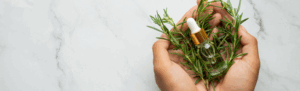 India Leads in Sustainable Herbal Sourcing