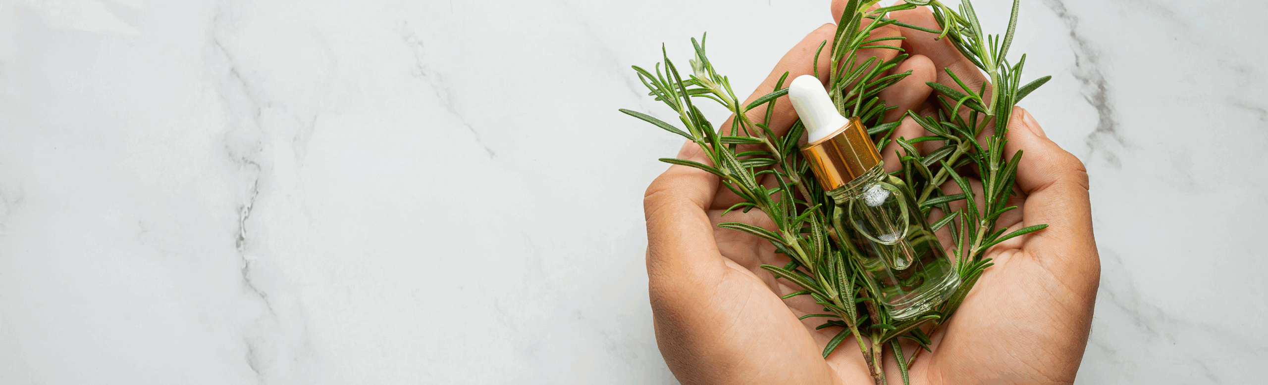 India Leads in Sustainable Herbal Sourcing