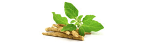 Ashwagandha Benefits: An Ultimate Guide to Immune Health, Stress, Sleep, Vitality & More