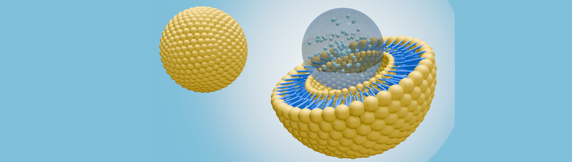 Liposomal Vitamin C: Why More Companies Are Rethinking the Delivery of Vitamin C