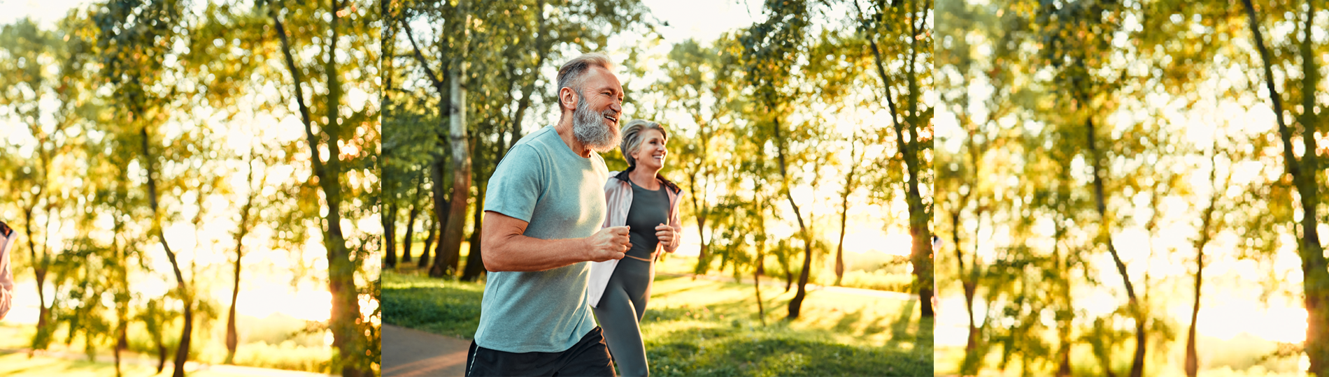 Formulating for Healthy Aging: How Mobility, Metabolism, and Immunity Intersect Over Time