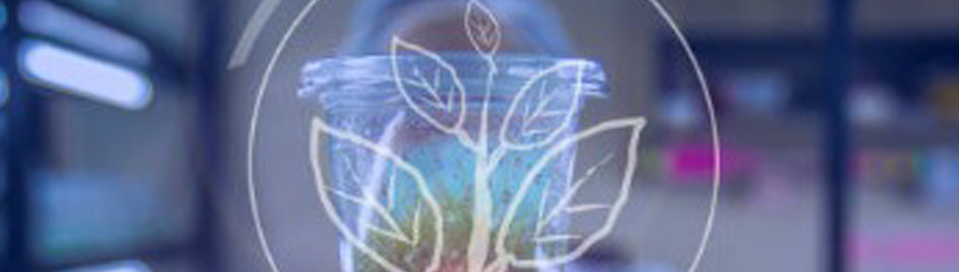 Plant-Based & Upcycled Bioactives: Sustainability Meets Science