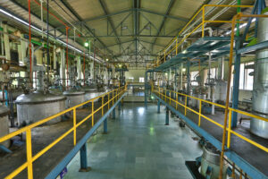 GMP Certified Botanical Extract Manufacturer India