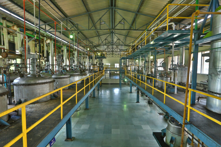 GMP Certified Botanical Extract Manufacturer India