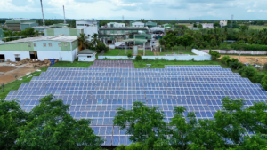 Sustainable Botanical Extract Manufacturers