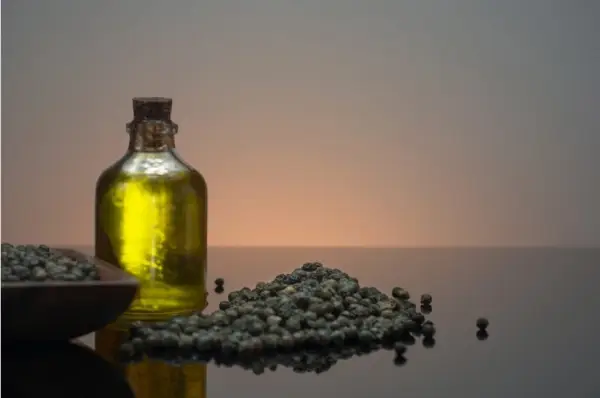 Top Benefits of Black Pepper Oil for Health and Wellness