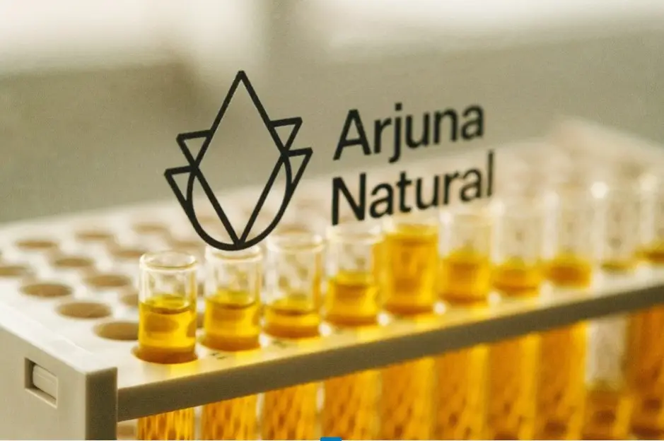 Choosing the Right Nutraceutical Ingredient Manufacturer: 7 Factors Brands Can’t Afford to Ignore