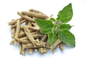 What are the Unique Benefits of Ashwagandha Root and Leaf Extract